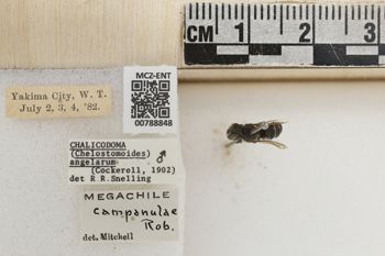 Media type: image;   Entomology 788848 Aspect: Labels
